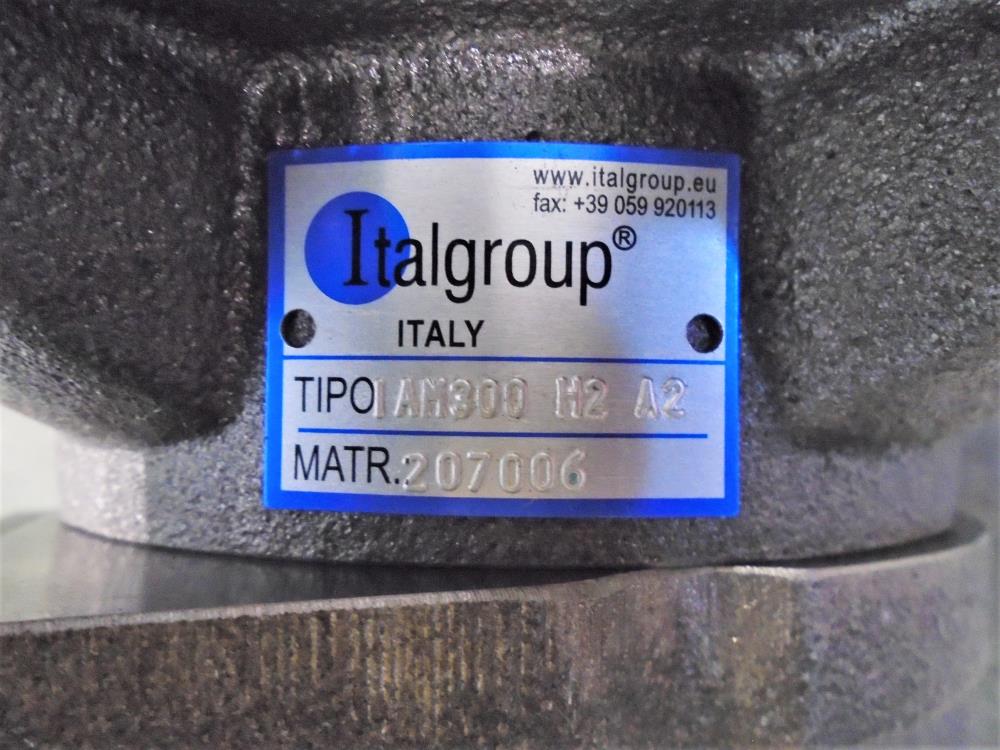 Italgroup Radial Piston Hydraulic Motor IAM300 H2 A2